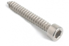 L-46mm, Screw 6*35 mm