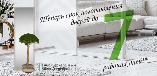 Двери-Стандарт-ЗЕРКАЛО-7-дней-1200