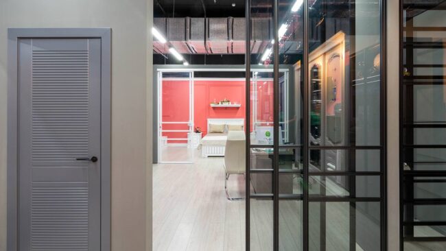 ИРА-ARISTO-в-Воронеже-637